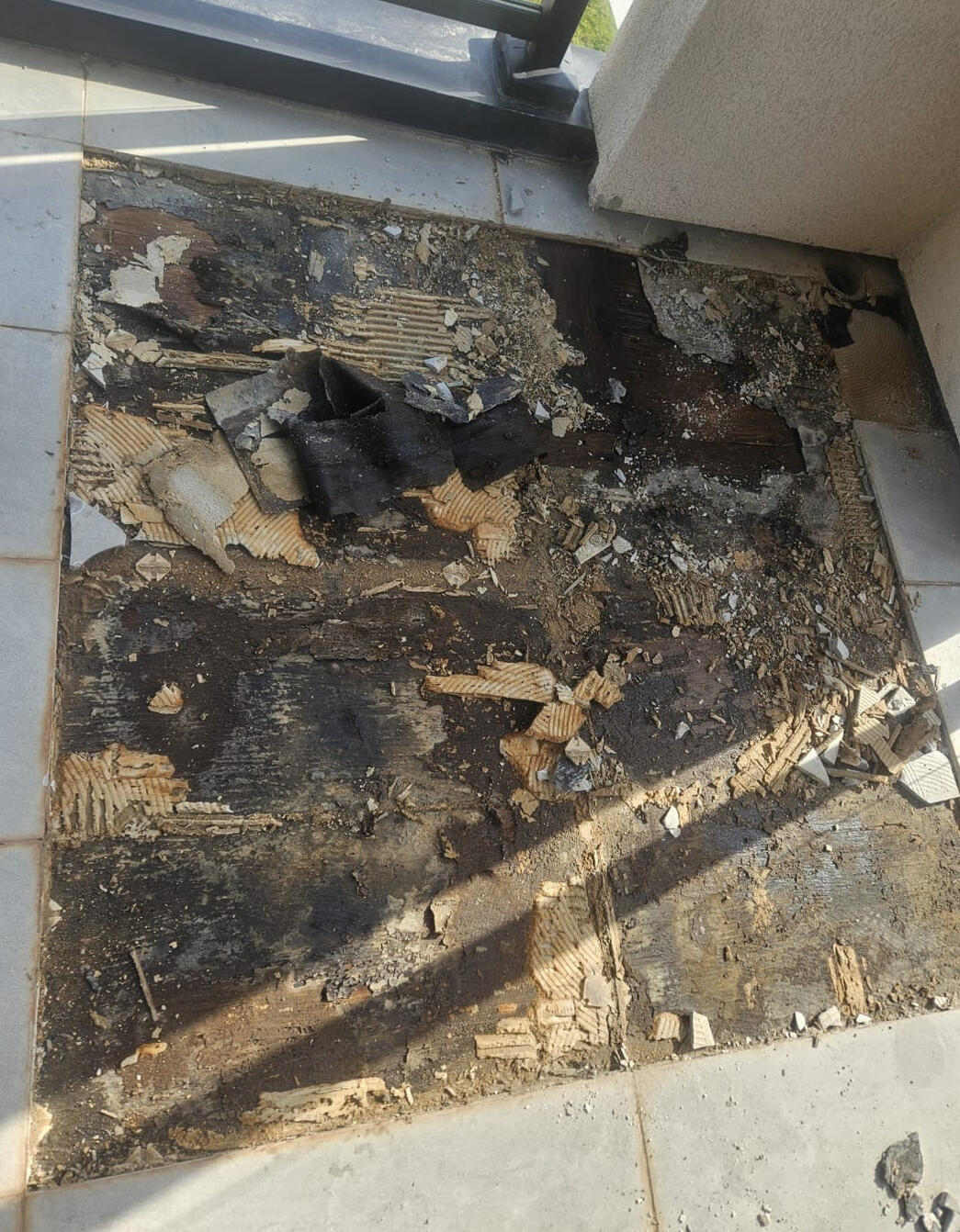Mold Removal Mold Removal